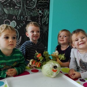 Privatni vrtic Novi Beograd, Zemun, Maliistrazivaci