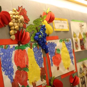 Privatni vrtic Novi Beograd, Zemun, Maliistrazivaci