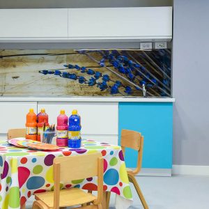 Privatni vrtic Novi Beograd, Zemun, Maliistrazivaci