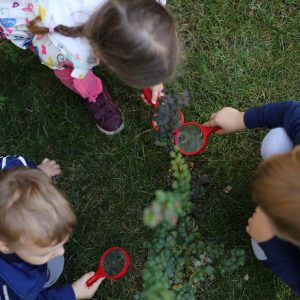 Privatni vrtic Novi Beograd, Zemun, Maliistrazivaci