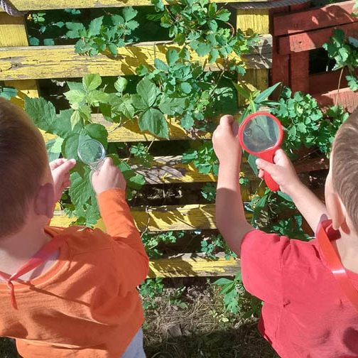 Istrazivacke igre u dvoristu-001