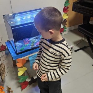 Nocenje novembar - 007